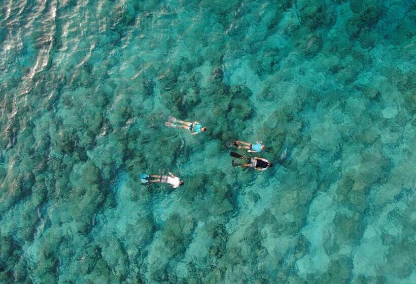 Pensiune Shoreline Grand