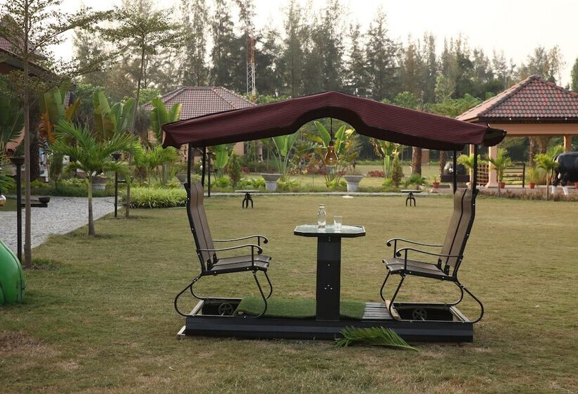 渡假胜地 The Pench International