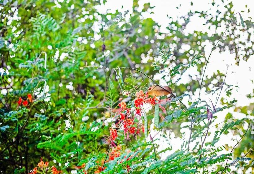 Sadashivgad Sea View Resort Jungle Lodges