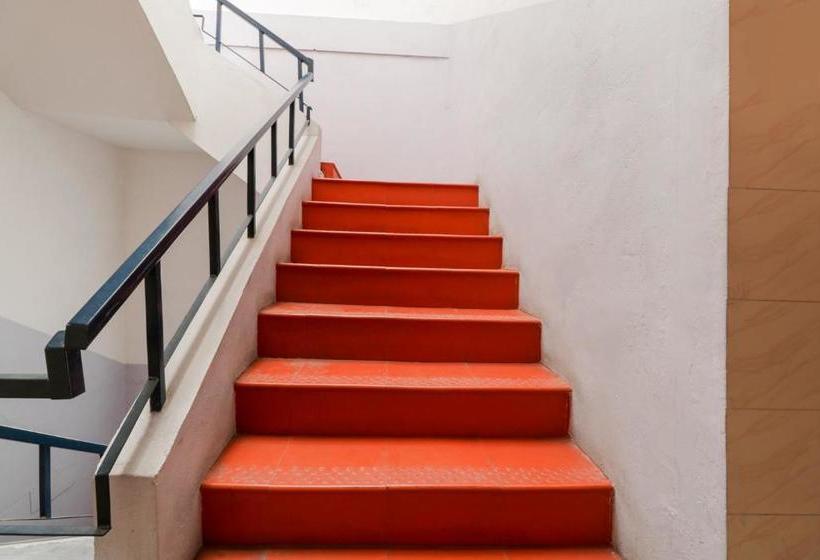 Hotel Oyo 71679 Bmr Guest House