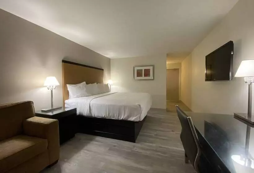 Hotelli University Inn Of Carbondale