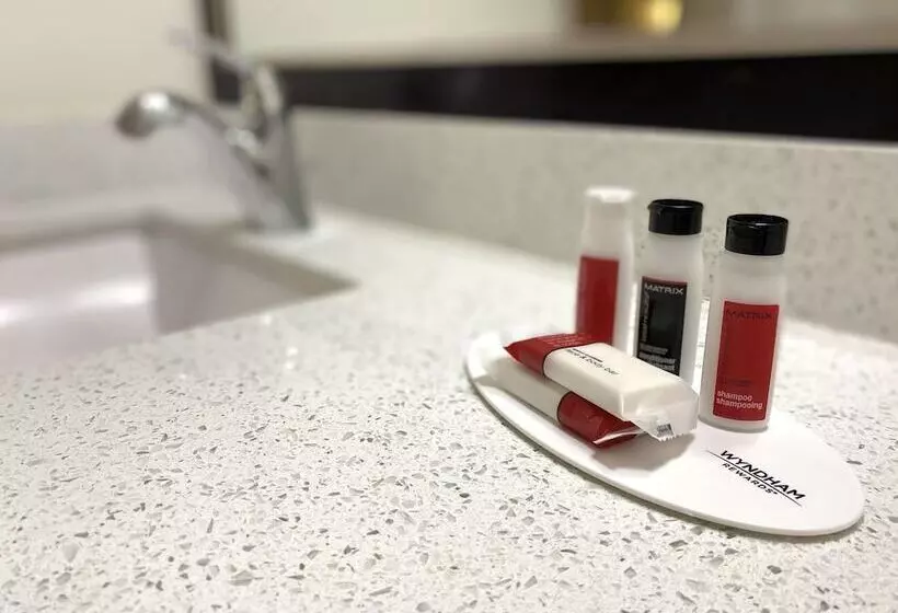 Hotelli University Inn Of Carbondale