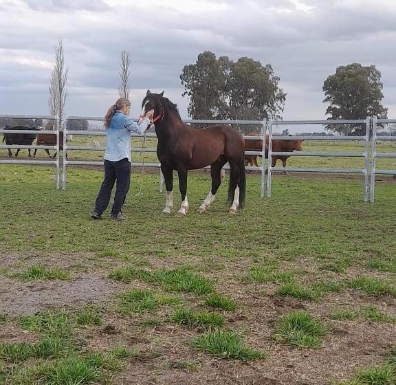 Herberge Chacras De Azcona Hostería