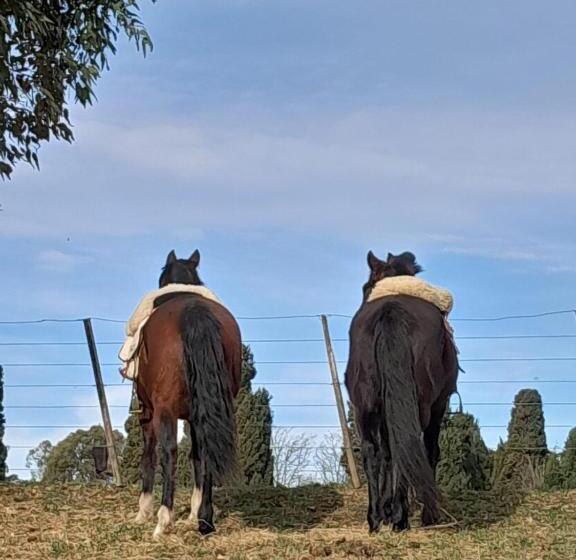 Herberge Chacras De Azcona Hostería