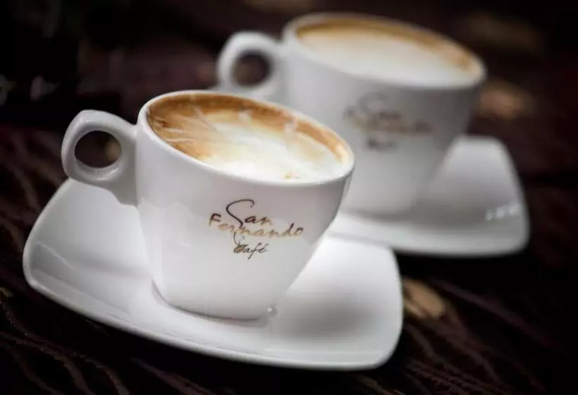 فندق Fernando Plaza