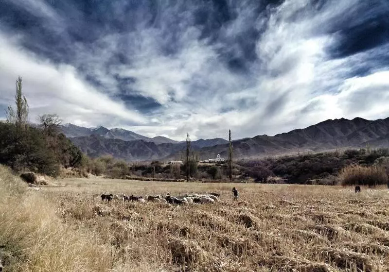 호텔 La Merced Del Alto