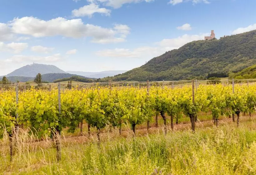 Отель Hôtel Restaurant Verger Des Châteaux, The Originals Relais, Proche Sélestat