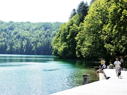 ホテル Les Matins du Sancy