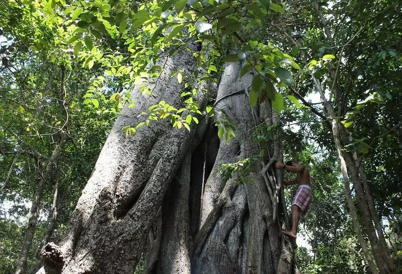 בית מלון כפרי Pousada La Bonita