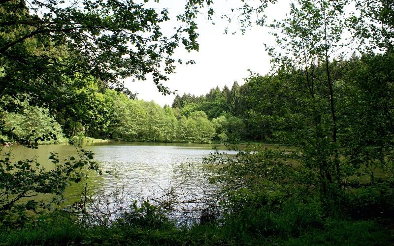 בית מלון כפרי Naturresort Tannenhof Gmbh