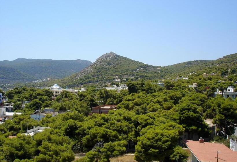 בית מלון כפרי Afea