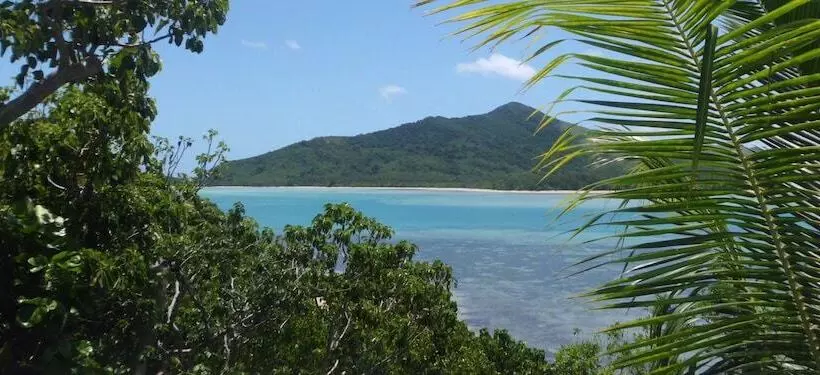 酒店 Navutu Stars Resort