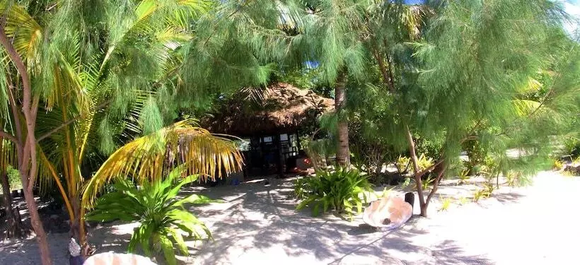 酒店 Navutu Stars Resort