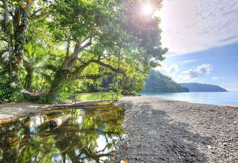 호텔 Playa Nicuesa Rainforest Eco Sanctuary