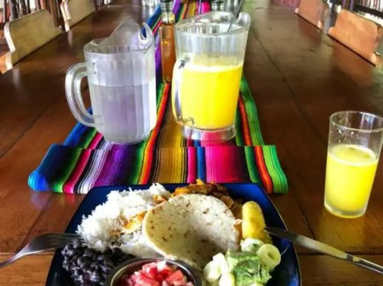 호텔 Playa Nicuesa Rainforest Eco Sanctuary