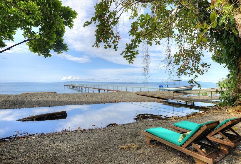 호텔 Playa Nicuesa Rainforest Eco Sanctuary