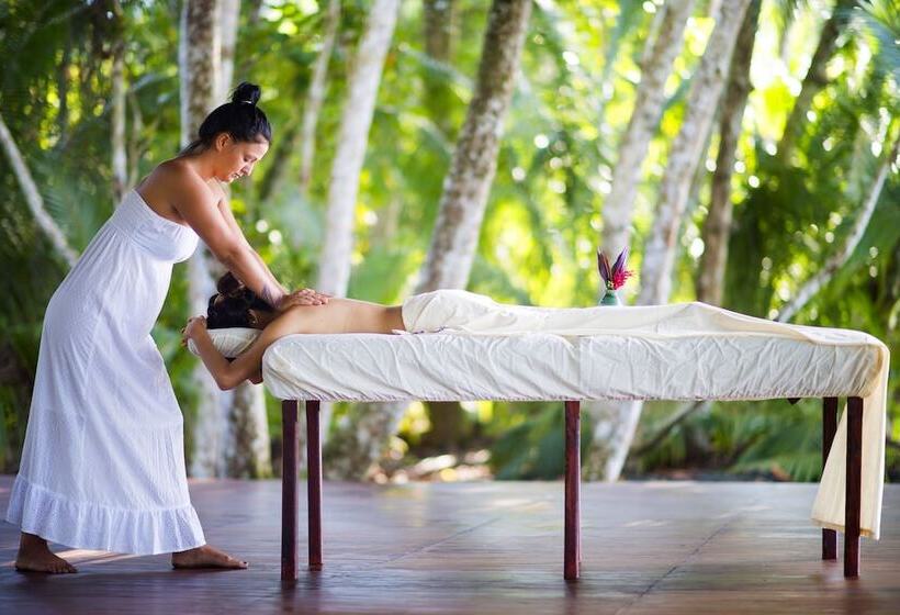 호텔 Playa Nicuesa Rainforest Eco Sanctuary