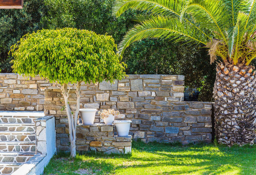 فندق Roses Beach