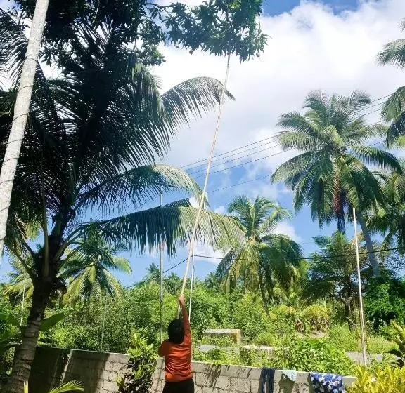 Blue Lagoon Resort, Neil Island