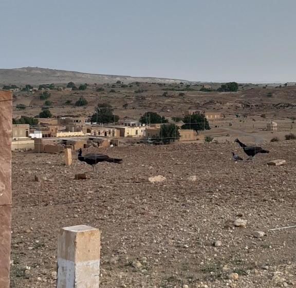 Dangri Desert Safari Camps & Resort