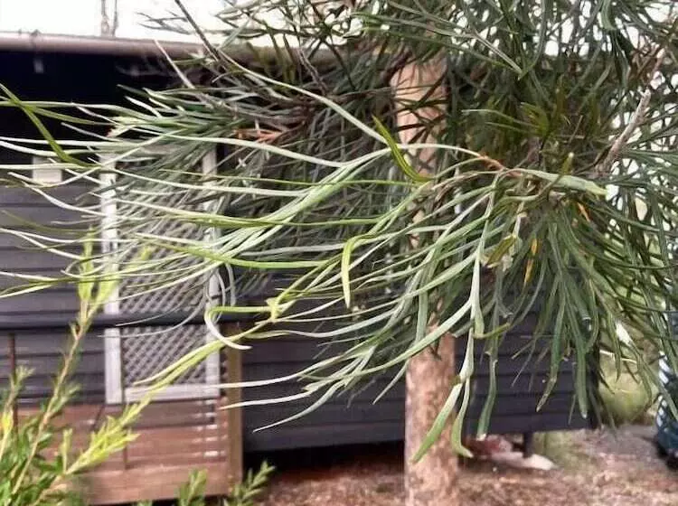 Aamiaismajoitus (B&B) Redrock Retreat