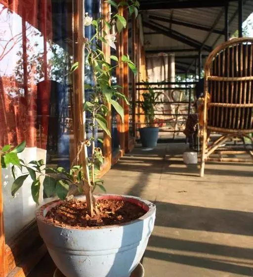 Hotel Bramha Cottages