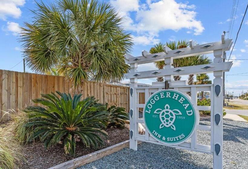 酒店 Loggerhead Inn And Suites