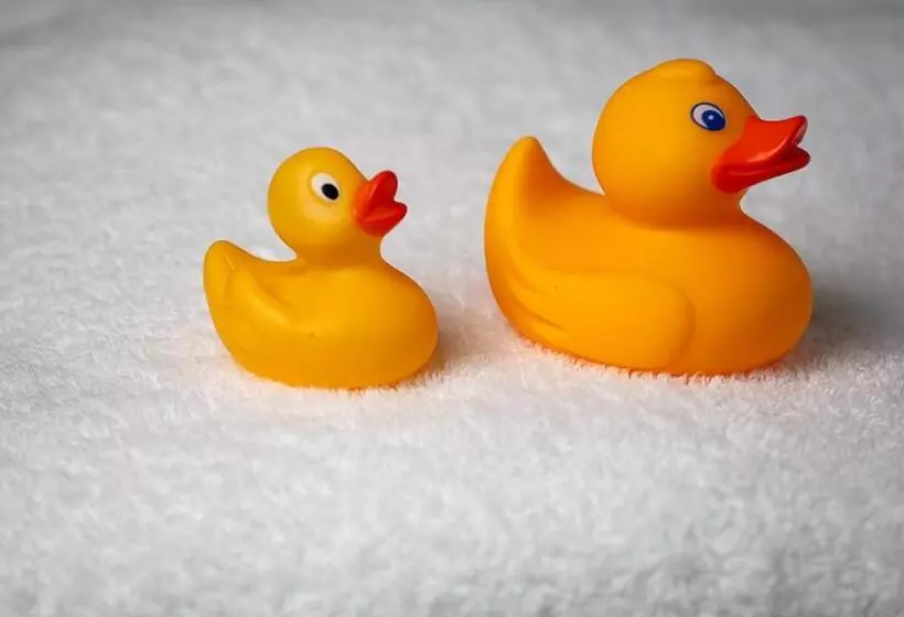 Loch Rannoch Hotel And Estate