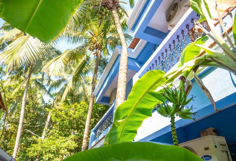 پانسیون Franria Villa Guest House