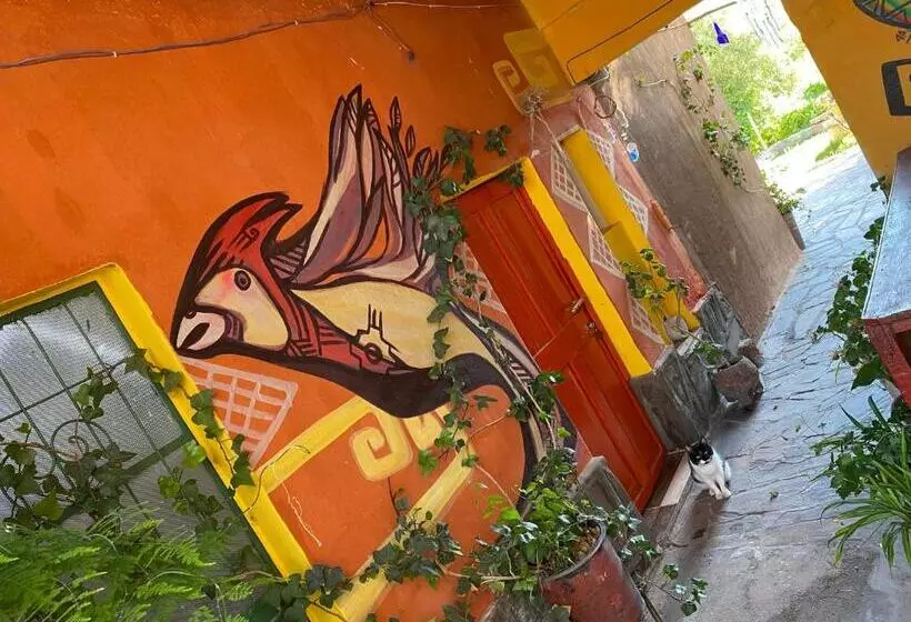 پانسیون Munay Ecohostal   Cabañas De Adobe