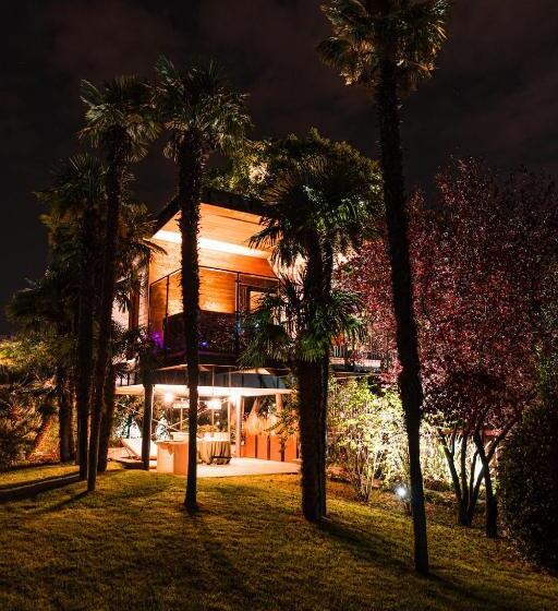 منتجع Treelodgy, The Tree House