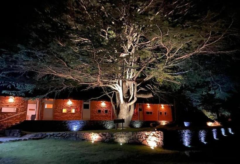 旅馆 Ventorrillo De La Buena Vista