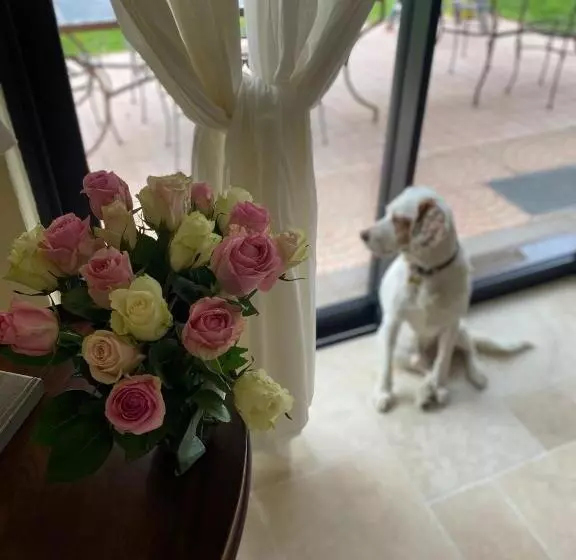 ベッドアンドブレックファースト Aux Coteaux D Aussac