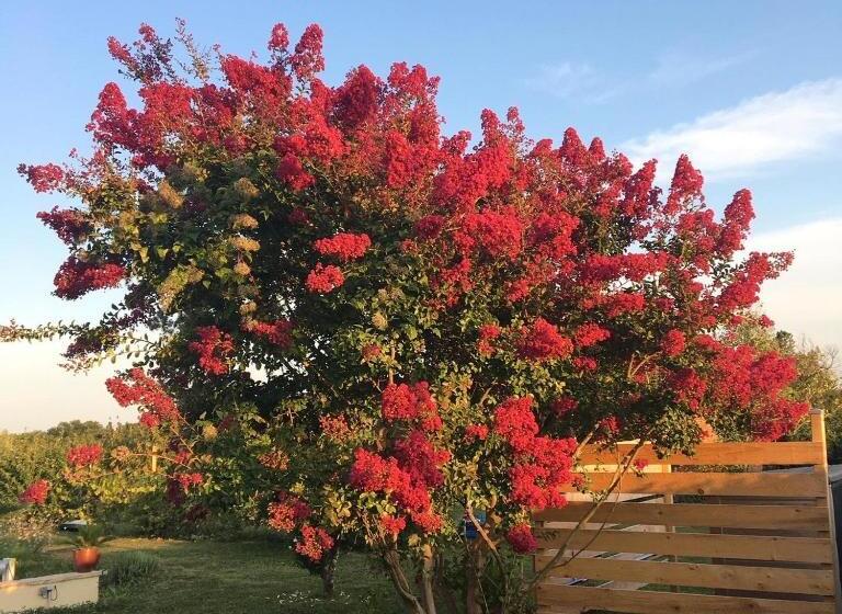 住宿加早餐  Aux Coteaux D Aussac