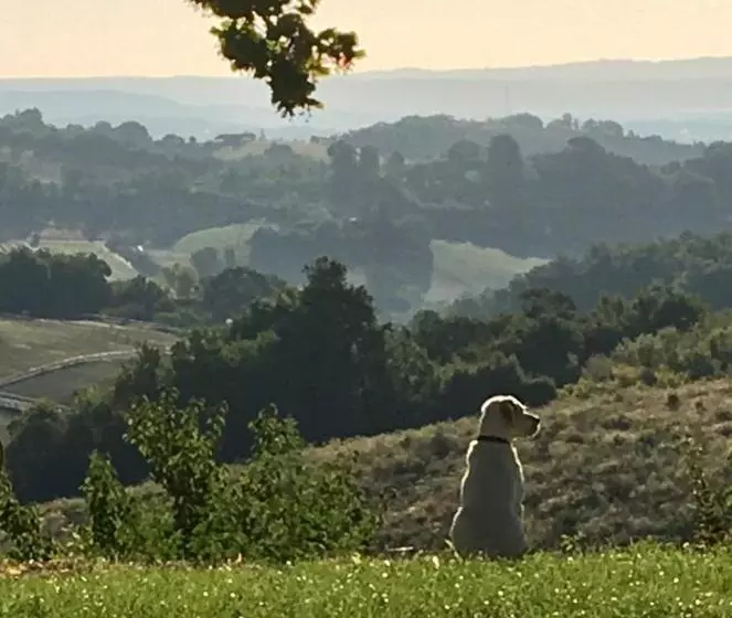 ベッドアンドブレックファースト Aux Coteaux D Aussac