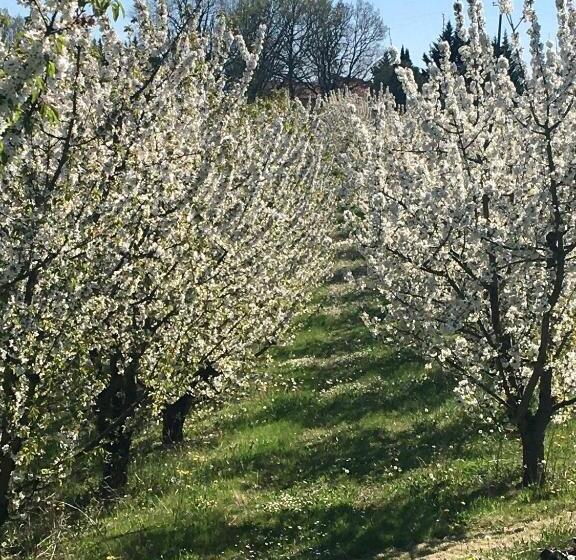 住宿加早餐  Aux Coteaux D Aussac