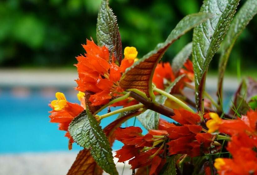 בית מלון כפרי Arte Natura