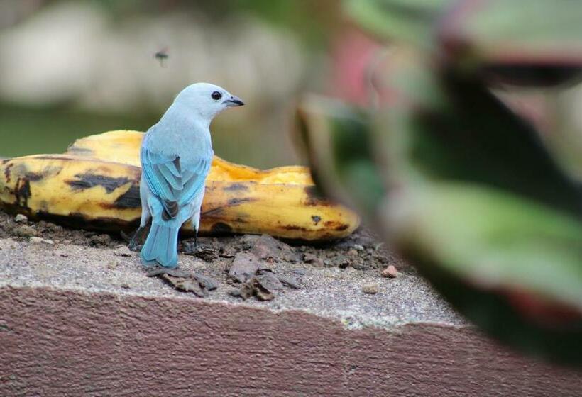 בית מלון כפרי Arte Natura