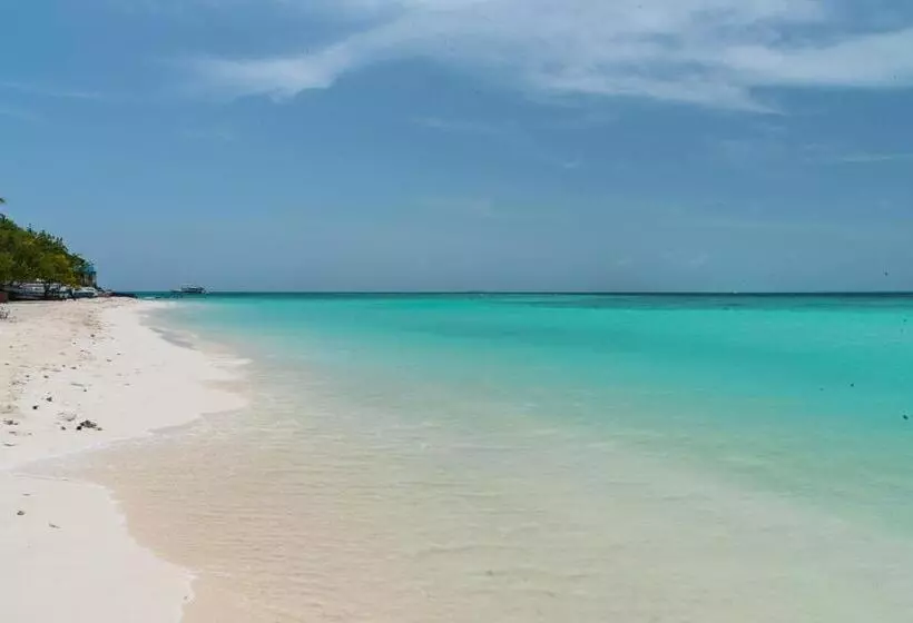 پانسیون Chao Guest House