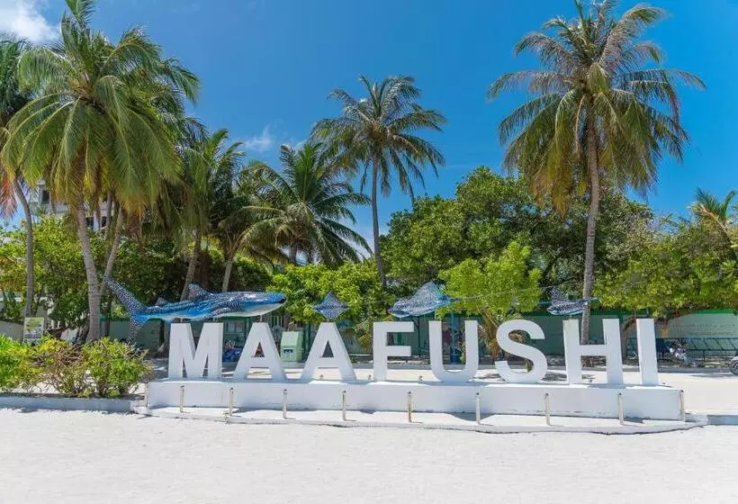 پانسیون Chao Guest House