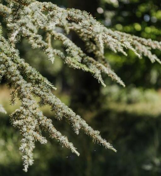 Skäftekärr Hotell Och Konferens
