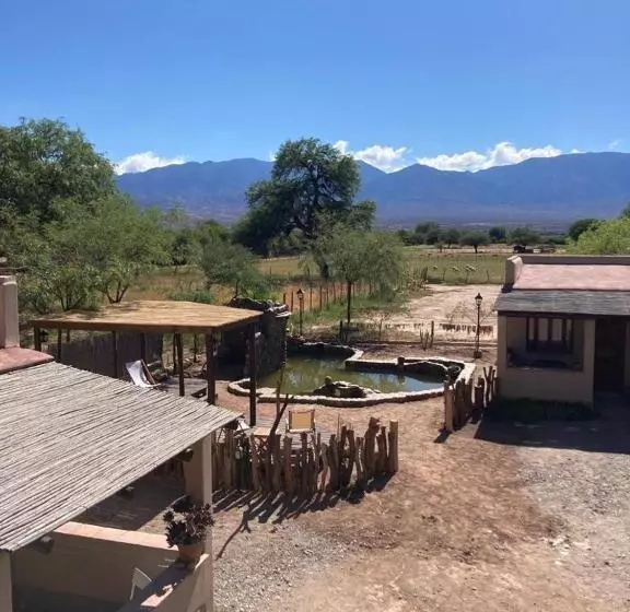 ベッドアンドブレックファースト Terraza Del Molle