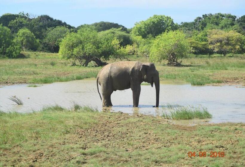 فندق Double Lake View Tissa & Safari