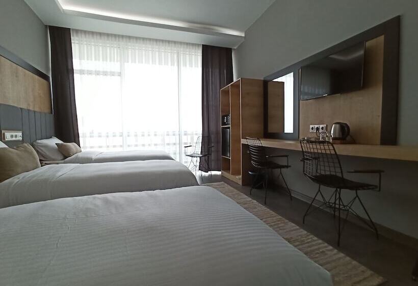 هتل Skylon Airport