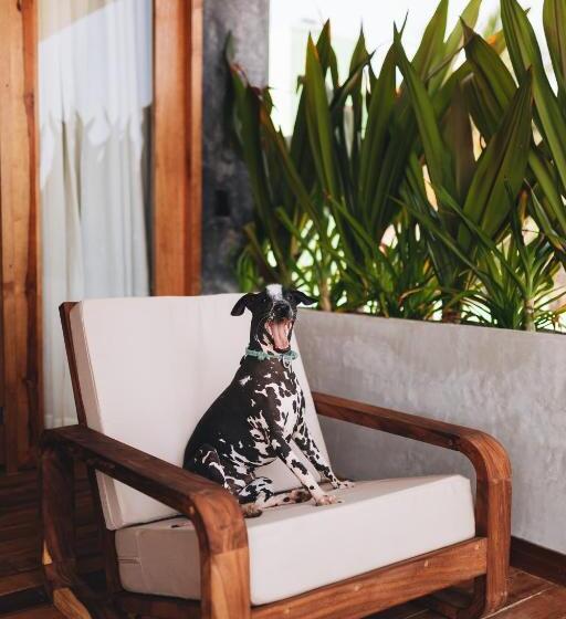 Naked Hotel Zipolite  Adults Only