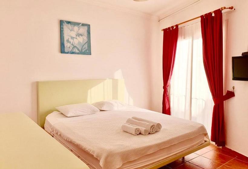 Bed and Breakfast Angora Otel