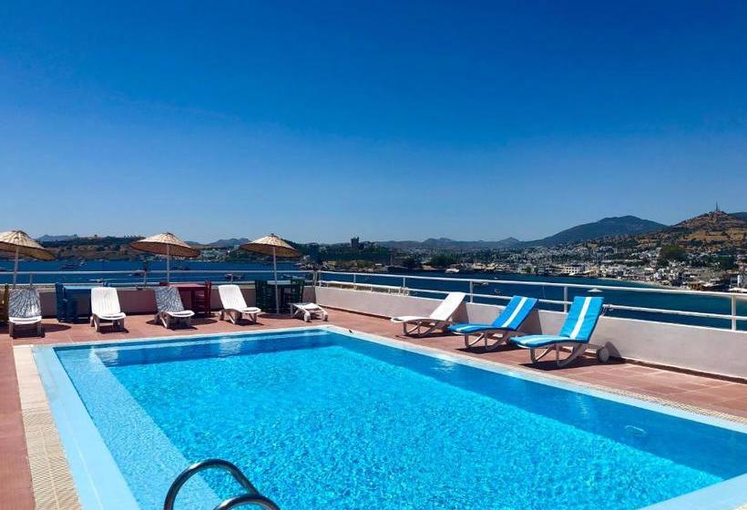 Bed and Breakfast Angora Otel