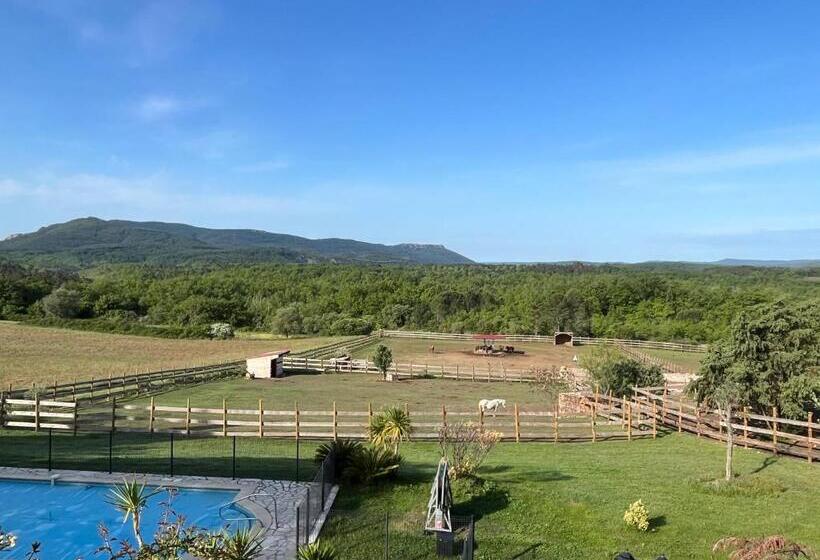 Bed and Breakfast Fleur De Lys