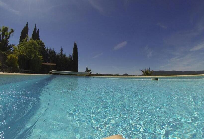 Bed and Breakfast Fleur De Lys