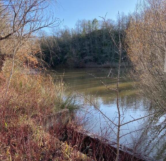 Bed and Breakfast Fleur De Lys